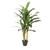 Decorative Dragon Plant 33 leaves, H120CM