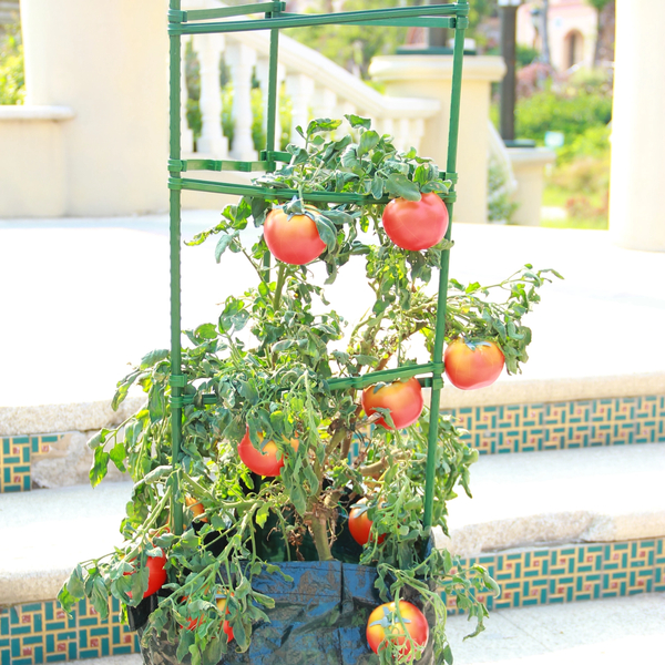 Plant Support Rod 8x1200mm