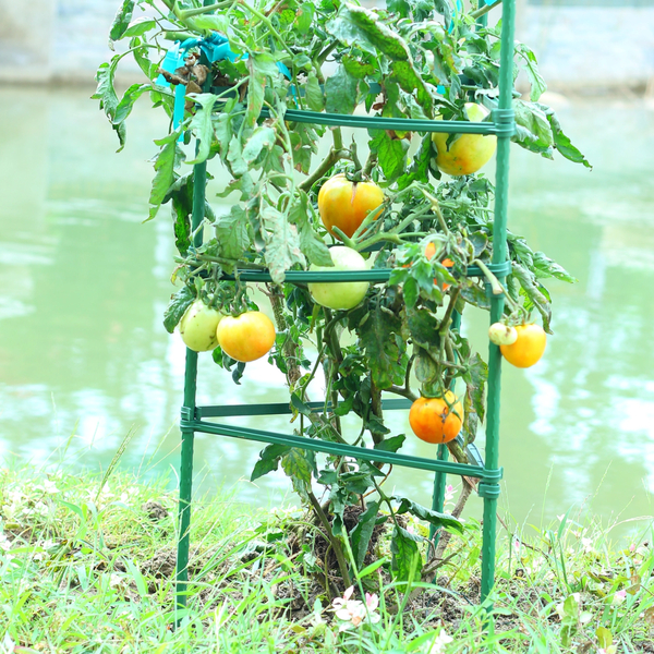 Βέργα Στήριξης Φυτών 8x600mm